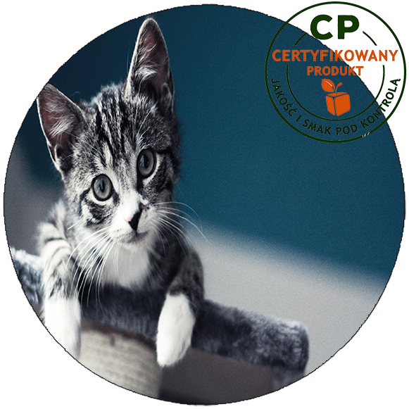 Opłatek na tort Koty zdjęcie 1