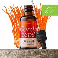 BIO Cordyceps Polski Maczużnik bojowy Ollywell Krople Ekstrakt Adaptogen