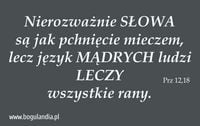 Magnes 62 na lodówkę Nierozważnie SŁOWA są jak