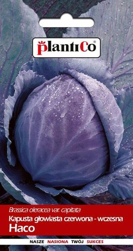 NASIONA Kapusta Głowiasta Czerwona Haco 1g PLANTICO 402317 na Arena.pl