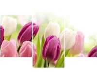 product-compare-58646374