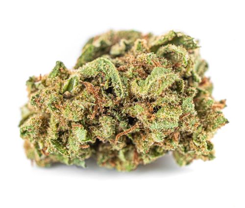 Susz konopny CBD | ORANGE BUD | 50 g na Arena.pl