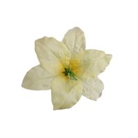 Lilia wyrobowa jasny zółty 12 szt