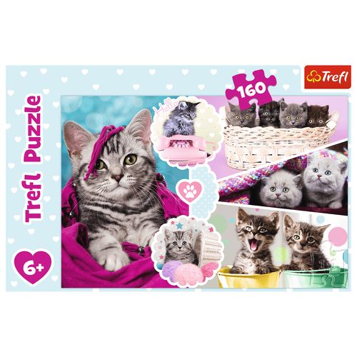 puzzle 160 urocze kotki 15371 na Arena.pl