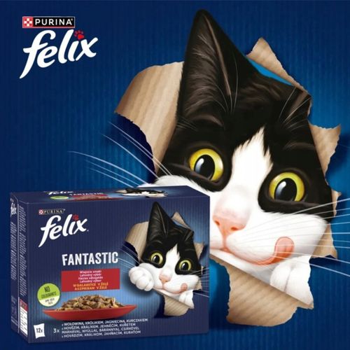 karma mokra dla kota felix fantastic wiejskie smaki mix z mięsem 12 x 85g na Arena.pl