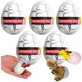 5x JAJO jajko dinozaura wykluwający rosnący DINOZAUR DUŻE NA PREZENT