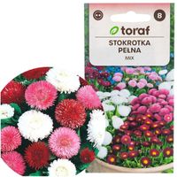 Stokrotka Pełna Mix Nasiona 0,2G Kwiaty Kolor