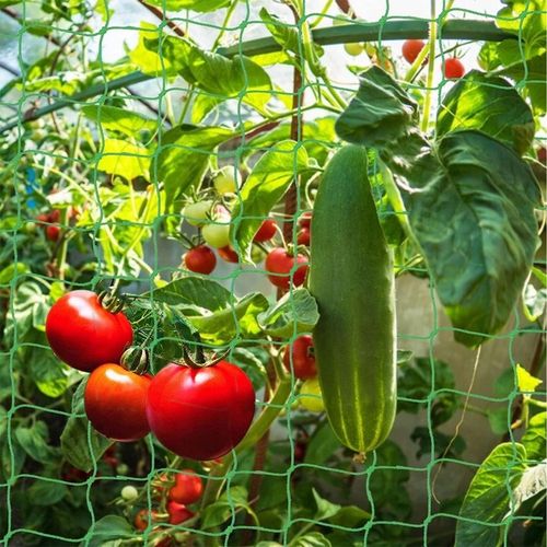 Podpora z siatką do ogórków i pomidorów 180 cm - Stelaż do roślin pnących na Arena.pl