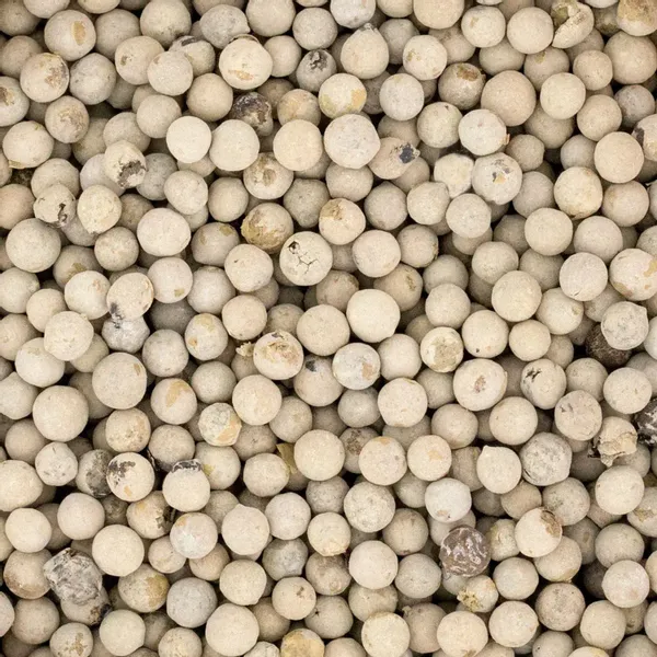 Pieprz biały ziarno 500g zdjęcie 3