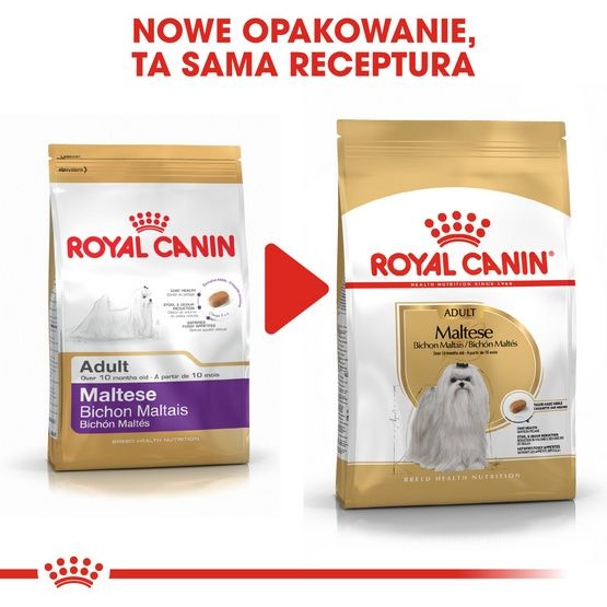 Karma z witaminami dla maltańczyka Royal Canin lśniąca, miękka sierść 1,5kg zdjęcie 3