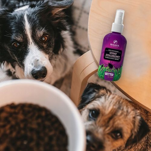 HOLISTA SPRAY Spacerowy na KLESZCZE Komary Naturalny dla Psa Kota 100ml na Arena.pl