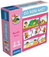 Gra CO ROBI MIS? 03529