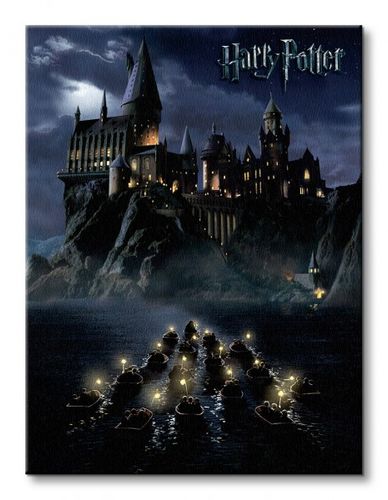 Harry Potter (Hogwarts School) - Obraz na płótnie 60x80 cm na Arena.pl