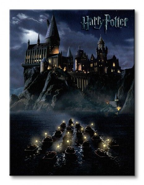Harry Potter (Hogwarts School) - Obraz na płótnie 60x80 cm zdjęcie 2