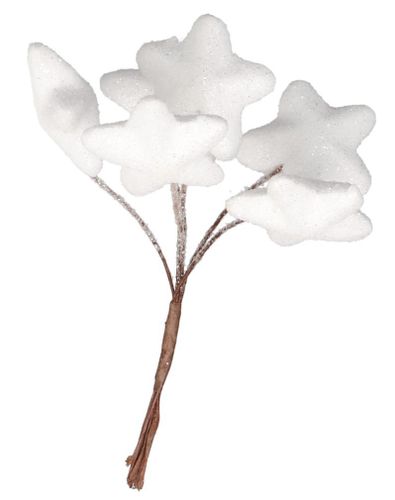 GWIAZDKI STYROPIANOWE NA DRUCIKU 6SZT NA STROIK na Arena.pl