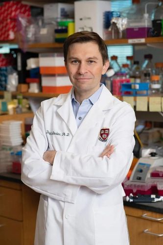 Resweratrol Resveratrol Rdest Japoński 15g proszek na Arena.pl