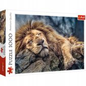 Puzzle 1000 SPIACY LEW 10447