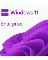 Windows 11 Enterprise - BOX (ESD)