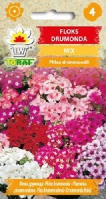 Floks drummonda mix nasiona 0,5 g. zdjęcie 1