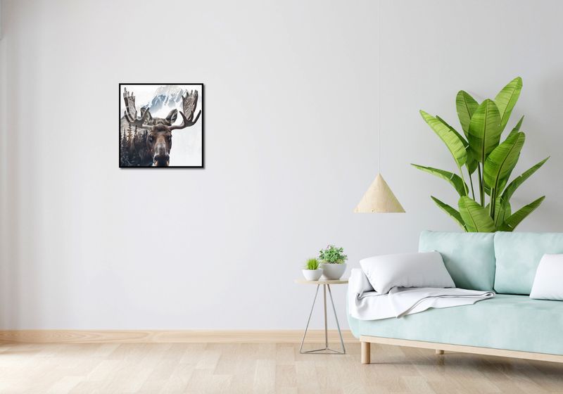 Plakat 50x50cm Łoś Duch Lasu zdjęcie 4