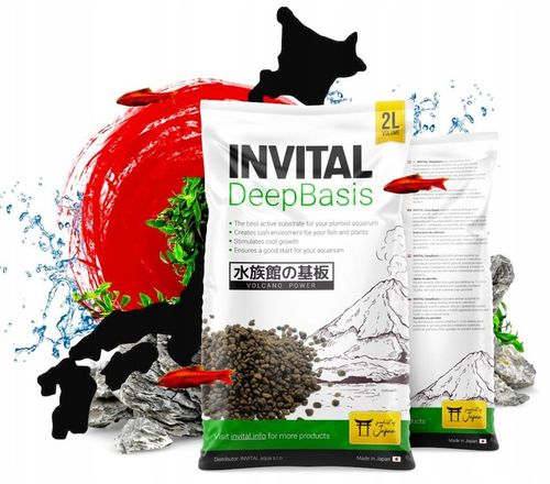 INVITAL DeepBasis 2l podłoże odżywcze pod żwir na Arena.pl