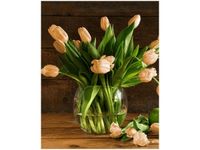 40X50CM RDZAWE TULIPANY OBRAZ