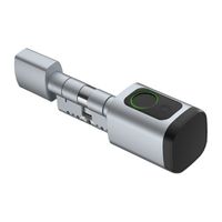 Wkładka do zamka cyfrowego Avatto SDL-V1-S100 100mm Srebrny