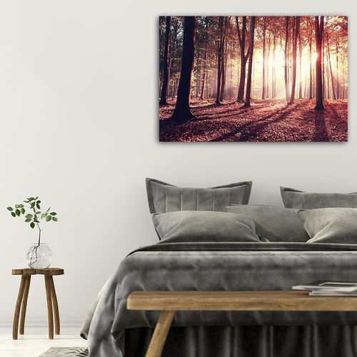 Deco Panel, Promienie słońca wśród drzew 60x40 na Arena.pl