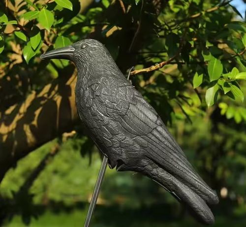 KRUK DUŻY ODSTRASZACZ GOŁĘBI PTAKÓW SZPAKÓW BALKON na Arena.pl