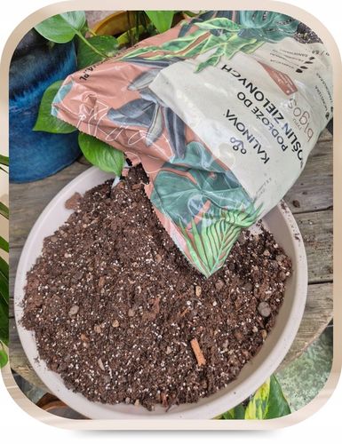 Podłoże Bigos lekka ziemia 3 x 8L do roślin zielonych Mieszanka na Arena.pl