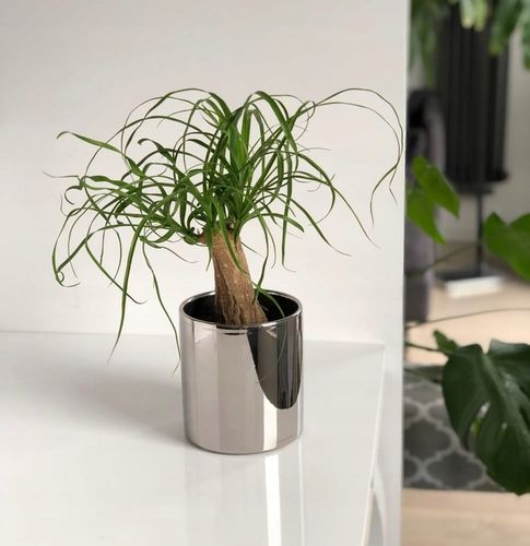 Doniczka Osłonka Ceramiczna Walec Srebrny Do Kwiatów i Kompozycji 15 cm na Arena.pl