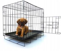 METALOWA KLATKA KENNELOWA TRANSPORTER DLA PSA PSÓW ZWIERZĄT KOJEC 42x50x35
