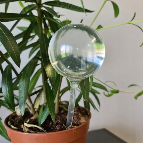 Kule Nawadniające do Kwiatów Nawadniacz Roślin Dozownik Wody Zestaw x 8szt. na Arena.pl