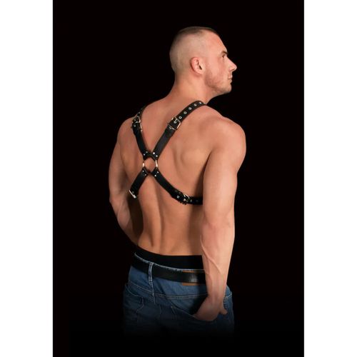 Adonis - High Halter Harness na Arena.pl