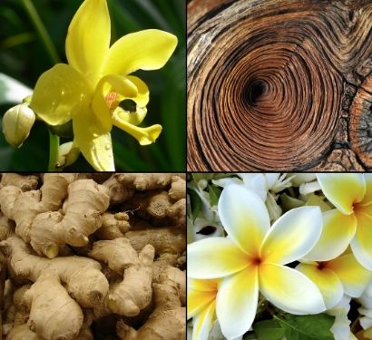 Tesori D`oriente Płyn Do Kąpieli Vanilia E Zenzero na Arena.pl