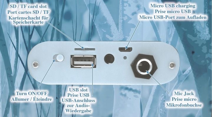 Kraina Lodu 2 Głośnik Karaoke LED Mic Bluetooth zdjęcie 5