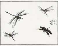 Plakat 50x40cm Ważki ilustracja Morimoto Toko Japoński Vintage do Salonu