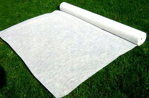 Agrowłóknina okryciowa BRADAS 1,6x5 Biała Wiosenno Zimowa AWW3016005 na Arena.pl