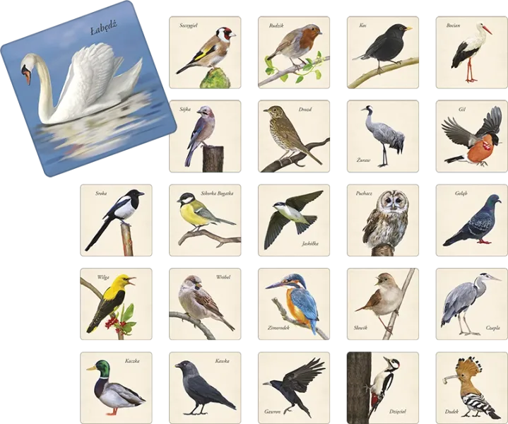 Gra memory. Ptaki zdjęcie 2