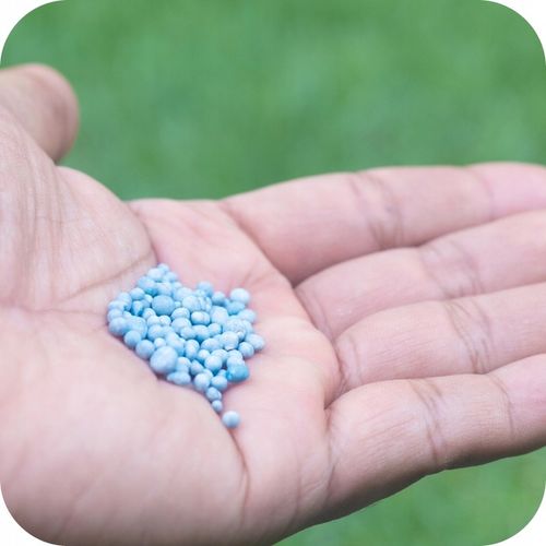 NAWÓZ DO TRAWNIKA do Trawników 5kg BEZCHLORKOWY GRANULOWANY ROSAFERT na Arena.pl