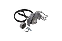 ZESTAW PASKA ROZRZĄDU Z POMPA RENAULT MEGANE Scénic 1997 1998 1999