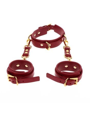 d-ring collar and wrist cuffs na Arena.pl