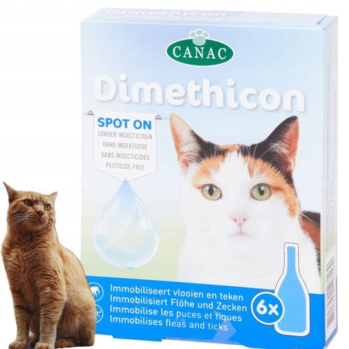 KROPLE NA KLESZCZE I PCHŁY DLA KOTA ZESTAW 6 SZTUK DAWEK PRZECIW KLESZCZOM na Arena.pl