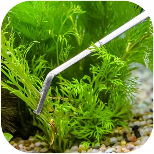 PĘSETA DO AKWARIUM DŁUGA ZAGIĘTY KONIEC 48cm na Arena.pl