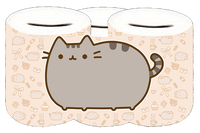 Skarbonka Pusheen