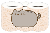 Skarbonka Pusheen