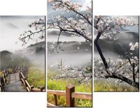 product-compare-58682162