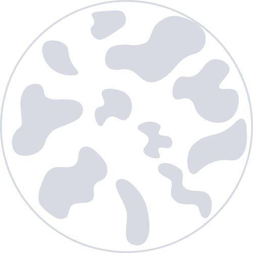 PINIATA Sonic 90 CM Solidna na Arena.pl