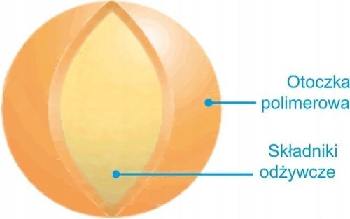 Nawów NA LATO do TRAWY BARENBRUG UNIVERSAL 5 KG na Arena.pl