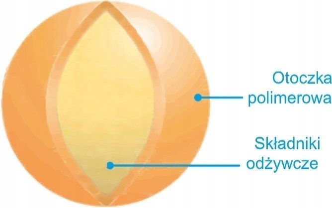 Nawów NA LATO do TRAWY BARENBRUG UNIVERSAL 5 KG zdjęcie 3